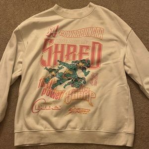 H&M Women's Pink and Cream Sweatshirt Teenage Mutant Ninja Turtles